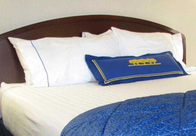 Courtyard By Marriott Dallas Dfw Airport North/Irving Room photo